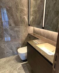 Leedon Green (D10), Condominium #480361451